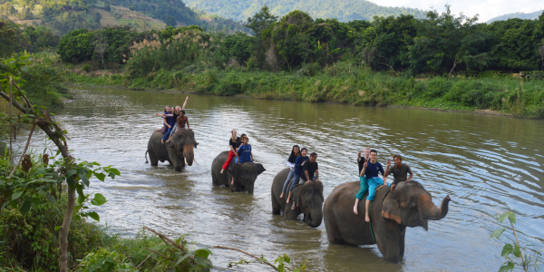 Students in a PHSRC Global Program riding elephants.